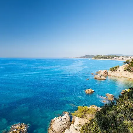 Htop Amatista #htopbliss 4*